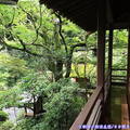 (452)東京高尾山-鳥山餐廳庭園造景