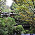 (455)東京高尾山-鳥山餐廳庭園造景