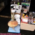(045)櫻島火山-有村溶岩展望台之櫻島大根