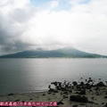 (124)鹿兒島-遊覽車上拍攝櫻島火山