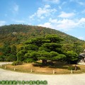 (032)日本四國香川縣-栗林公園之紫雲山與松樹
