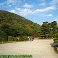 (033)日本四國香川縣-栗林公園之紫雲山與松樹