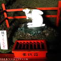 (523)鵜戶神宮-御本殿之兔子神使塑像