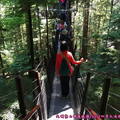 (348)卡布蘭諾吊橋公園-樹梢探險