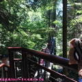 (354)卡布蘭諾吊橋公園-樹梢探險