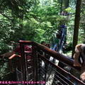 (355)卡布蘭諾吊橋公園-樹梢探險