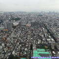 (474)東京晴空塔-俯瞰市景
