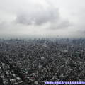 (475)東京晴空塔-俯瞰市景