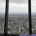 (478)東京晴空塔-俯瞰市景