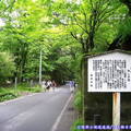(140)輕井澤-通往森林步道