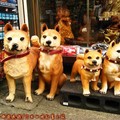 (079)香川縣-金刀比羅宮表參道旁賣店之狗飾品