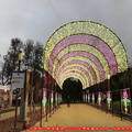 (013)后里森林園區-拱型燈飾廊道