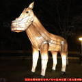 (024)文心森林公園燈會-戽斗小馬