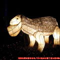 (032)文心森林公園燈會-戽斗白羊