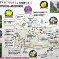 (810)禮文島-桃岩瞭望台路線地圖