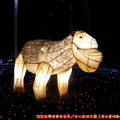 (033)文心森林公園燈會-戽斗白羊