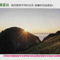 (813)禮文島-桃岩瞭望台夕照(翻拍旅遊DM)