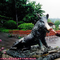 (221)加拿大-布查特花園之青銅山豬雕像