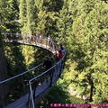 (379)懸崖步道-峽谷觀景台