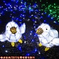 (016)2013台灣燈會在新竹-傳統燈區小鴨花燈