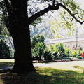 (228)墨爾本-費茲洛花園