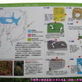 (104)釧路丹頂鶴自然公園(圖文解說)