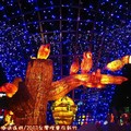 (042)2013台灣燈會在新竹-百鳥朝鳳花燈(貓頭鷹與大嘴鳥)