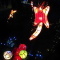 (051)2013台灣燈會在新竹-飛鼠花燈