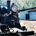(255)墨爾本-丹頓農區古董蒸汽火車頭