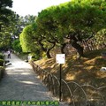 (045)香川縣-栗林公園之松林小徑