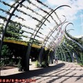 (029)布里斯本-南岸公園之造型長廊