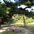 (048)香川縣-栗林公園