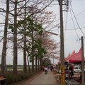 2016-04-10-尖山埤-江南渡假村 - 3