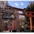 重返平野神社