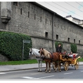 薩爾斯堡觀光馬車