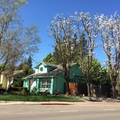  【最美的春日時光】－加州小鎮 Davis 新增照片