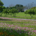 2015福山植物園