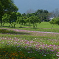 2015福山植物園