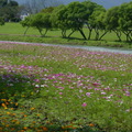 2015福山植物園