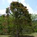 2016福山植物園