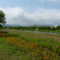 2015福山植物園