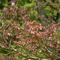 2016福山植物園