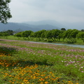 2015福山植物園