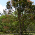 2016福山植物園