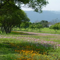 2015福山植物園