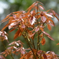 2016福山植物園