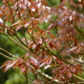 2016福山植物園