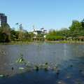 2017植物園