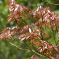 2016福山植物園