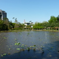 2017植物園